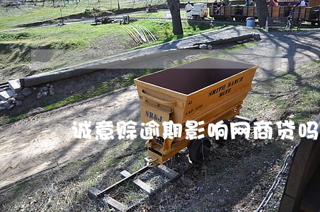 诚意赊逾期影响网商贷吗 诚意赊逾期影响网商贷吗