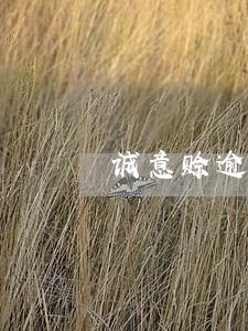 诚意赊逾期欠款5万以上 诚意赊逾期欠款5万以上