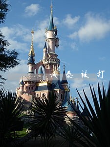 诚泰被打的律师是谁