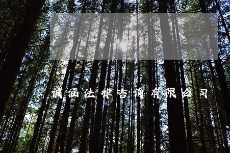 诚涵法律咨询有限公司 诚涵法律咨询有限公司