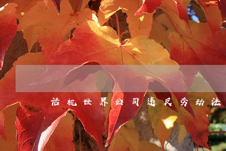 话机世界公司违反劳动法 话机世界公司违反劳动法