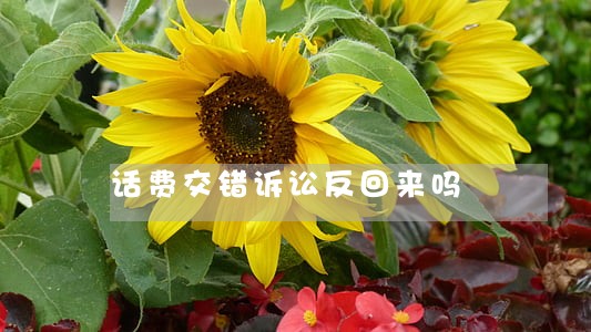 话费交错诉讼反回来吗 话费交错诉讼反回来吗