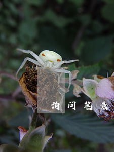 询问笔录被当事人公开违法吗 询问笔录被当事人公开违法吗