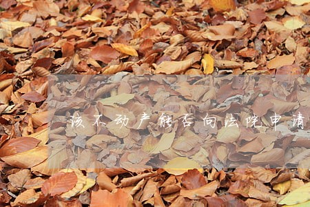 该不动产能否向法院申请强制执行 该不动产能否向法院申请强制执行