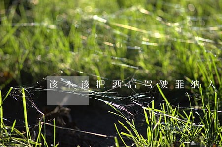 该不该把酒后驾驶罪纳入刑法 该不该把酒后驾驶罪纳入刑法