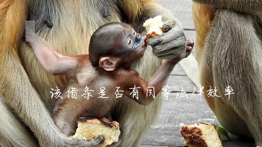 该借条是否有同等法律效率 该借条是否有同等法律效率