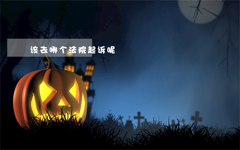 该去哪个法院起诉呢