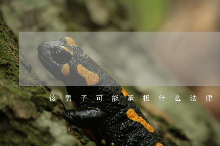 该男子可能承担什么法律责任 该男子可能承担什么法律责任