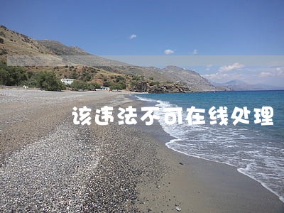 该违法不可在线处理 该违法不可在线处理
