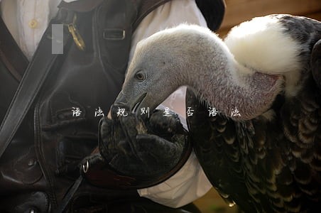 语法规则是否语法 语法规则是否语法