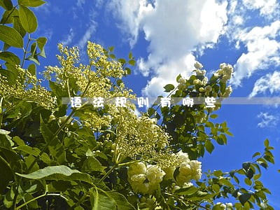 语法规则有哪些 语法规则有哪些
