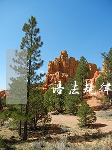 语法规律具有什么特点 语法规律具有什么特点