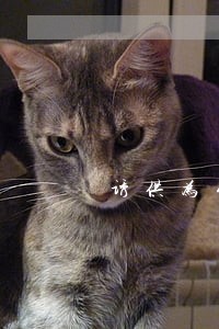 诱供为什么违法