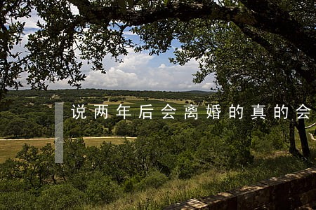 说两年后会离婚的真的会离吗 说两年后会离婚的真的会离吗
