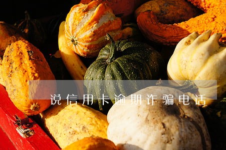 说信用卡逾期诈骗电话 说信用卡逾期诈骗电话