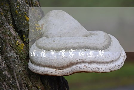 说信用管家的逾期 说信用管家的逾期