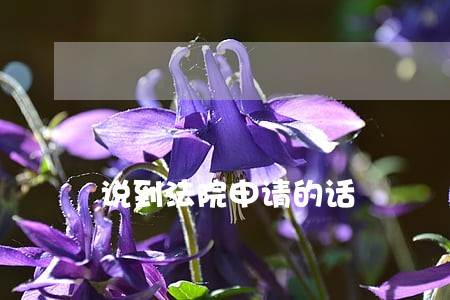 说到法院申请的话 说到法院申请的话