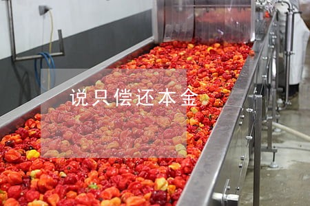 说只偿还本金 说只偿还本金