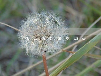 说已交到法院起诉 说已交到法院起诉