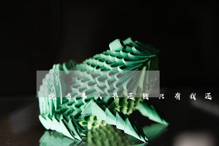 说当事人不还钱只有我还