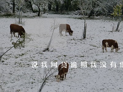 说我网贷逾期我没有借钱 说我网贷逾期我没有借钱