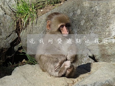 说我网贷逾期让我还钱