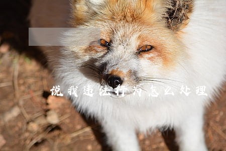 说我违法行为怎么处理 说我违法行为怎么处理