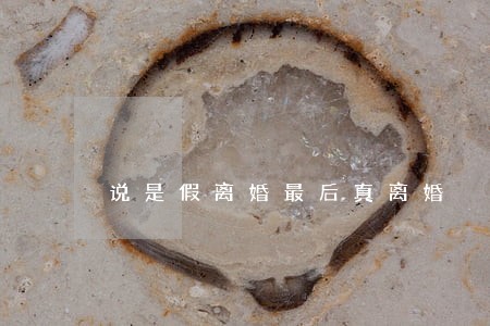 说是假离婚最后真离婚 说是假离婚最后真离婚