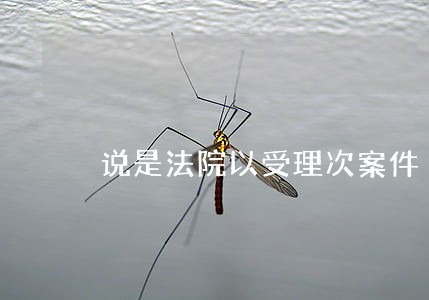 说是法院以受理次案件 说是法院以受理次案件