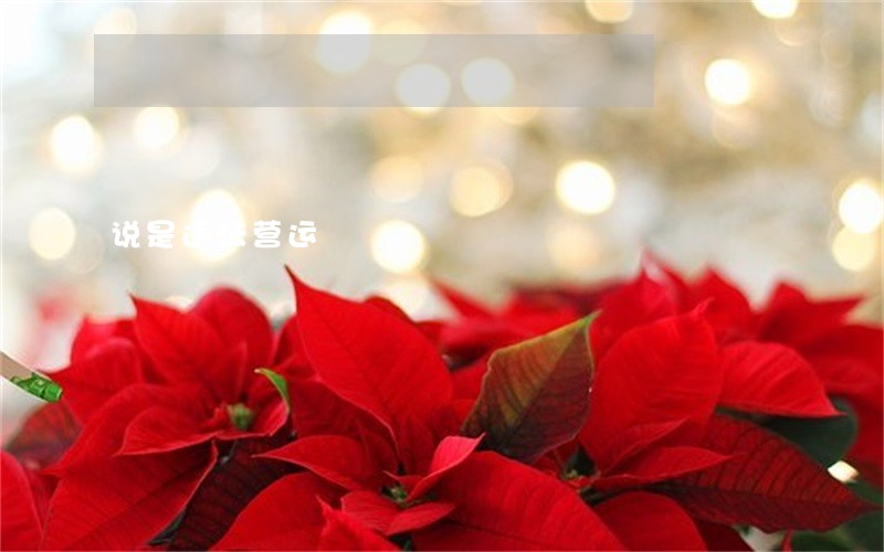 说是违法营运 说是违法营运