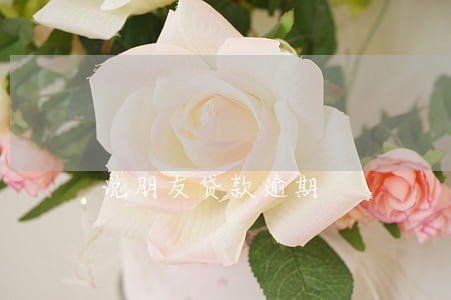 说朋友贷款逾期 说朋友贷款逾期