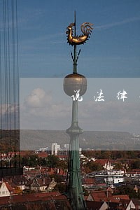 说法律不允许 说法律不允许