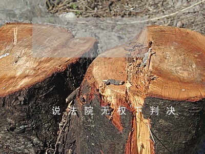 说法院无权下判决 说法院无权下判决