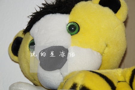 说的是冻结 说的是冻结