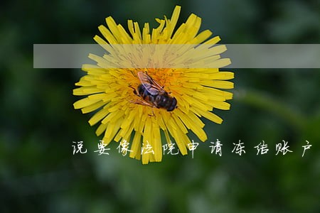 说要像法院申请冻结账户 说要像法院申请冻结账户