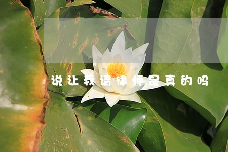 说让我请律师是真的吗