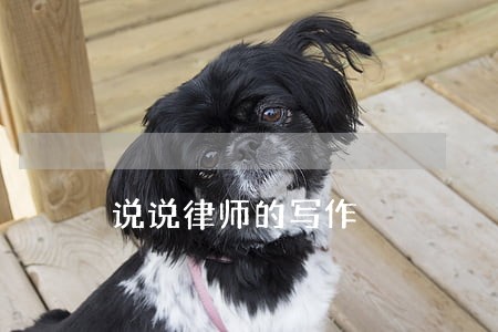 说说律师的写作 说说律师的写作