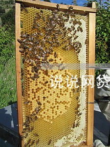说说网贷逾期那些事 说说网贷逾期那些事