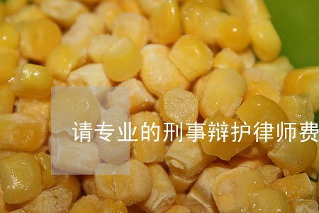 请专业的刑事辩护律师费用 请专业的刑事辩护律师费用