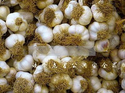 请个危害公共安全罪律师收费 请个危害公共安全罪律师收费