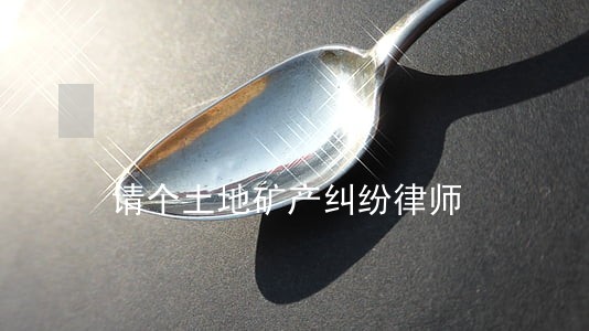 请个土地矿产纠纷律师 请个土地矿产纠纷律师