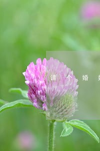 请个婚姻财产纠纷律师价格 请个婚姻财产纠纷律师价格