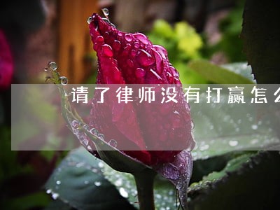 请了律师没有打赢怎么办 请了律师没有打赢怎么办