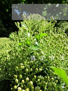 请企业法律顾问的要求 请企业法律顾问的要求