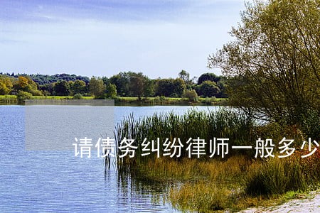 请债务纠纷律师一般多少钱 请债务纠纷律师一般多少钱