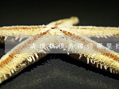 请债权债务律师哪里找 请债权债务律师哪里找