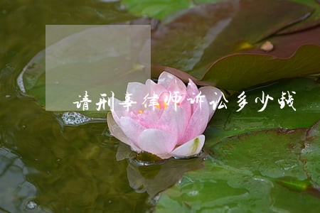 请刑事律师诉讼多少钱 请刑事律师诉讼多少钱