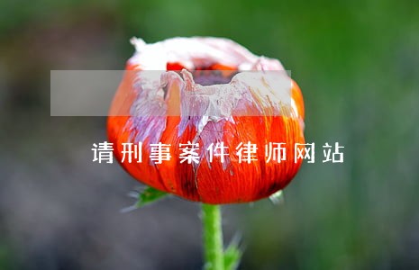 请刑事案件律师网站