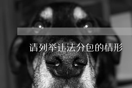 请列举违法分包的情形 请列举违法分包的情形