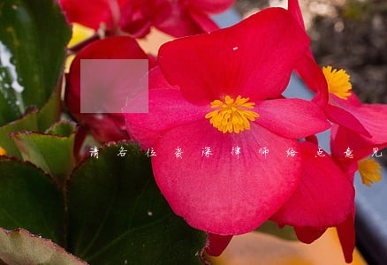 请各位资深律师给点意见 请各位资深律师给点意见
